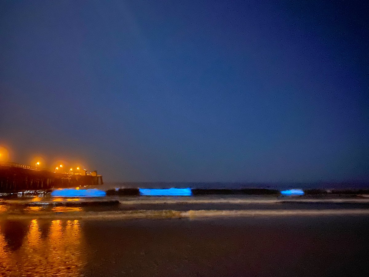 Last night was so cool seeing the bioluminescent waves! Definitely something <a href="/Irene__Pollock/">Irene Hester Pollock</a> and I won’t forget any time soon!