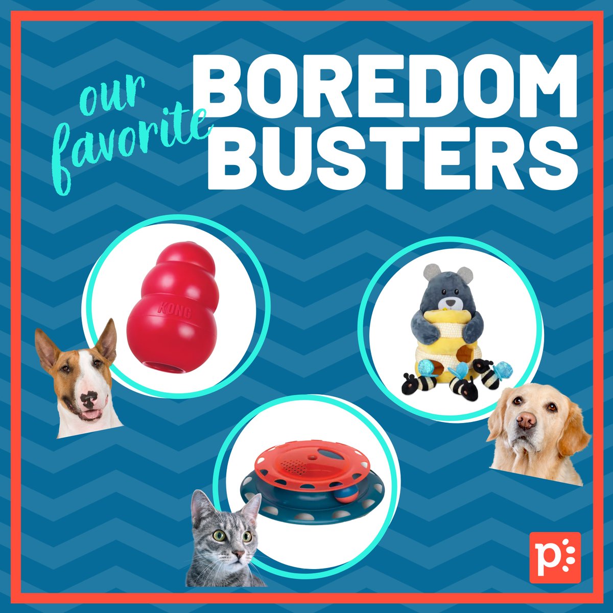 When pets get bored, it can be a nightmare for you AND your pet 🤯 Furniture gets chewed up, walls are scratched at and pets get frustrated. Here are a few of our favorite boredom busters for your furry friend! 🐶🐱 All available <a href="/Petco/">Petco</a>!