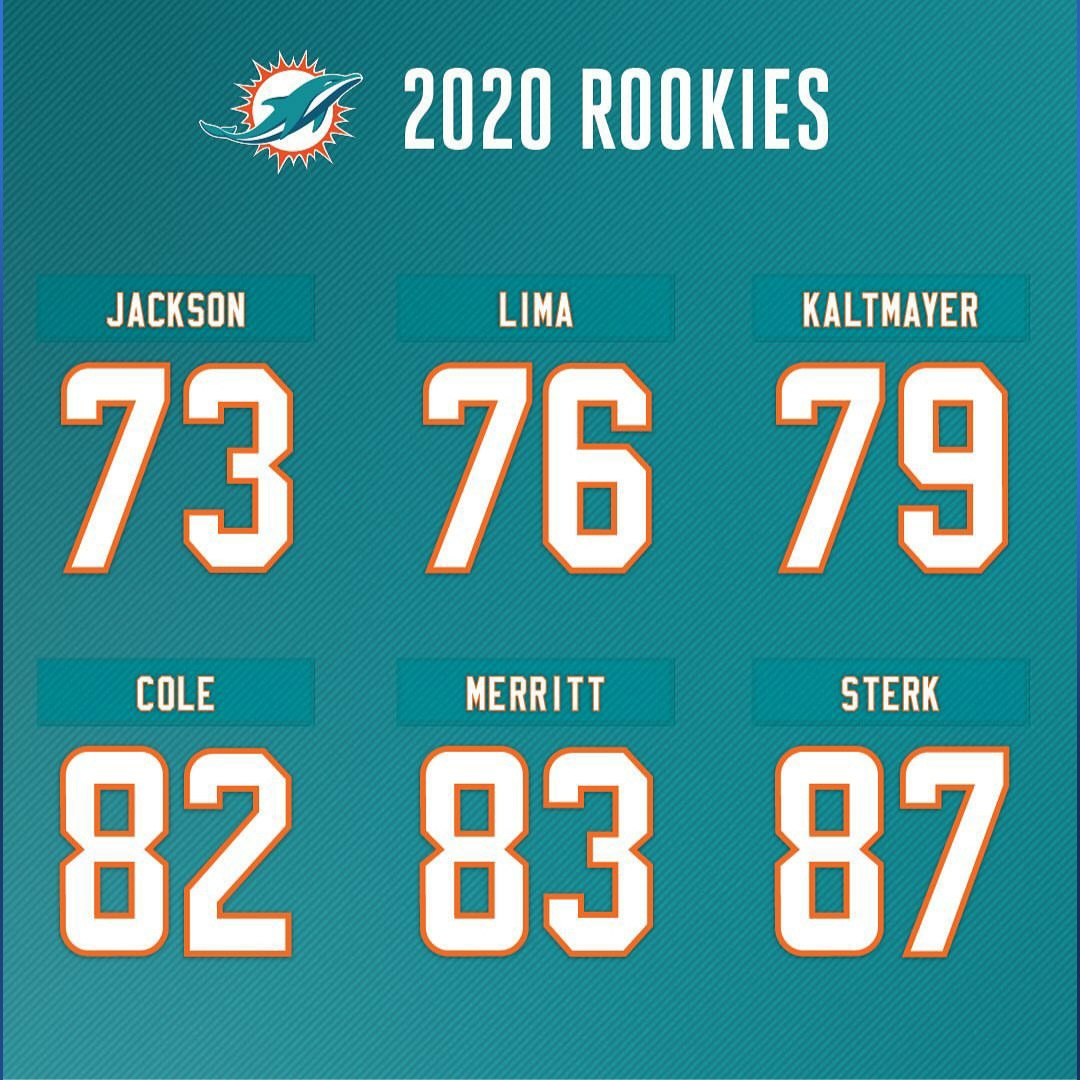 IlseNonis's tweet photo. Ya tenemos nΓΊmeros oficiales para nuestros #rookies #FinsUp ππ¬π€
@MiamiDolphins @DolphinsNationM @nflgirlsmx @nflmx #MiamiDolphins #gofins #MyDolphins #freshstart #newteam #newphilosophy #WelcometoMiami #welcometo305 https://t.co/ECJlRO5mpK