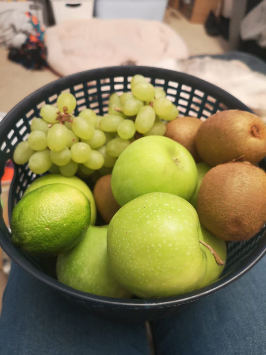 realmattmellows's tweet photo. @rosentweets It is my son Jack's 13th birthday in the morning and he is a huge fan of Friday Night Dinner. We have got him a special present. Would love it if you could Tweet a birthday message for him #shalom #schmoigle #nopears #forbidden https://t.co/rb2wtrcS6m