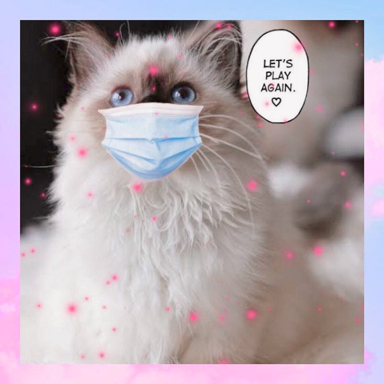 fsrulan's tweet photo. % · ❛ hᥱrᥱ ιt comᥱs  ? ? わ_! our lιttlᥱ . . . ⃗[ 𝐤𝐲𝐨𝐣𝐢 ] , , *ปกป้องคุณด้วยหัวใจทั้งหมดของเรา_あ ¡! ♡ #hellokitten ૮ #2ndmission : @ur_acts ``/ @urjenn › https://t.co/U6Wf9uSg1g