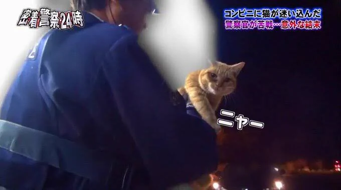 「警察24時」での珍事件！猫がコンビニに入ってくる。追い出してもまた来てしまうwww