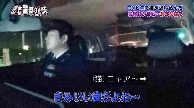 「警察24時」での珍事件！猫がコンビニに入ってくる。追い出してもまた来てしまうwww