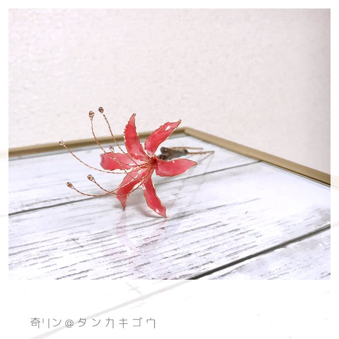 ディップフラワーのtwitterイラスト検索結果