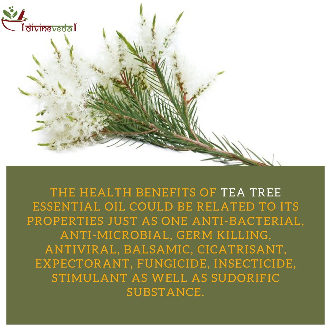 Divineveda1's tweet photo. 8 Health benefits of Tea Tree Oil:

1. Hand Sanitizer

2. Insect Repellent

3. Natural Deodorant

4. Antiseptic for Minor Cuts and Scrapes

5. Boost Wound Healing

6. Fight Acne

7. Relieve Psoriasis

8. Chemical-Free Mouthwash

#ayurveda #healthcare #ayurvedic #teatreeoil https://t.co/gQs5C0lmNg