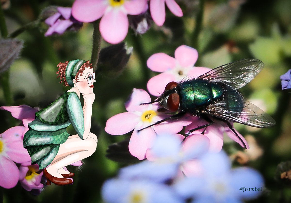 TekstenPlus's tweet image. Zonder te knipperen 👁👁 #staringcontest #frumbel