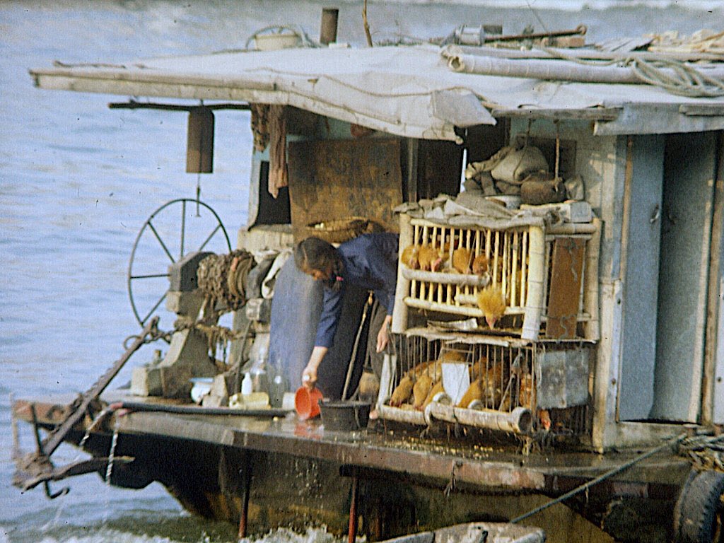 fengcheng_ccc's tweet photo. Haiku, Hainan, China, in late 1980s https://t.co/wt9IOgh74I