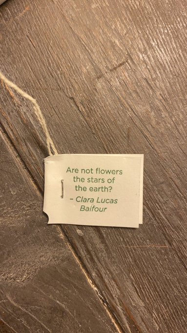 Mary Ryan’s pics and videos