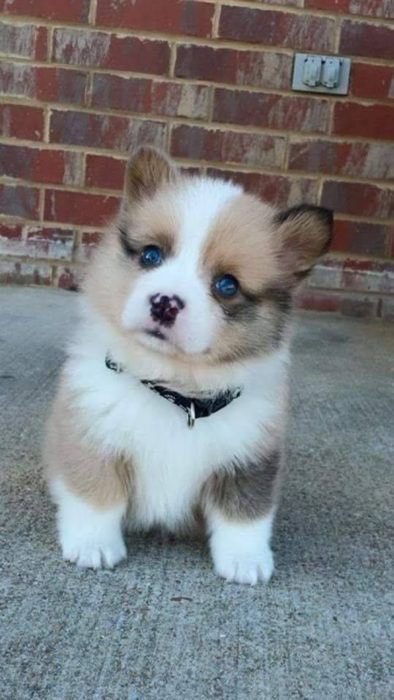 😍😍😍😍😍