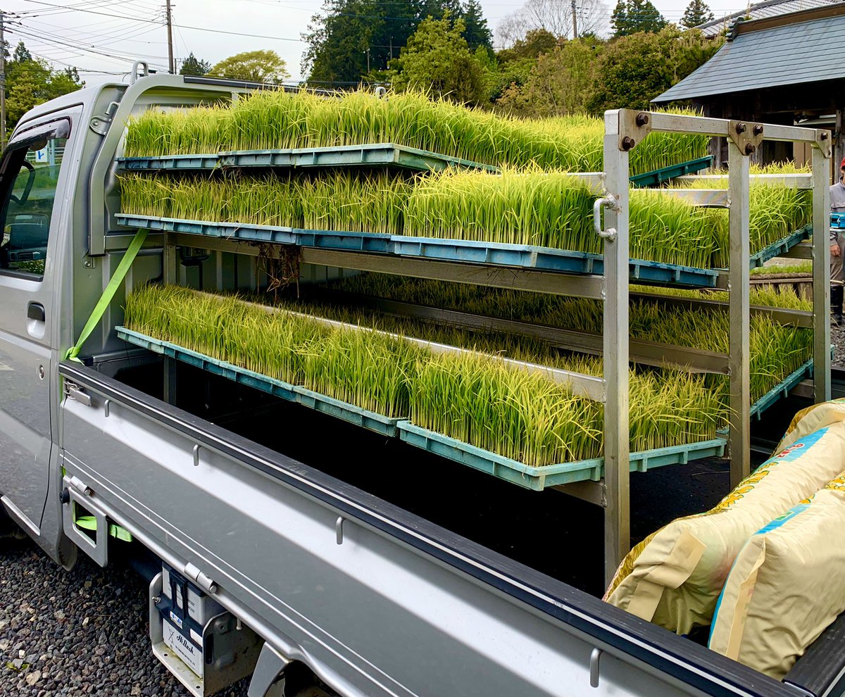 nidonebohzu's tweet photo. 朝から農家の友人のお手伝い👨🌾
#耕して育てよう
#田植え
#Kobota #田植機 https://t.co/aW3DHxzD8j
