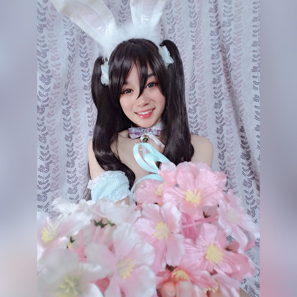 aminyaannyan's tweet photo. A little bit into May already and its my birthday month! Before April ended I wanted to join in on the bunny girl fun and self shot this at home. Bunnies are one of my favorite animals~ 
.
.
#bunnygirl #springbunny 💐🐰💐 https://t.co/lUvRBRQ1KA