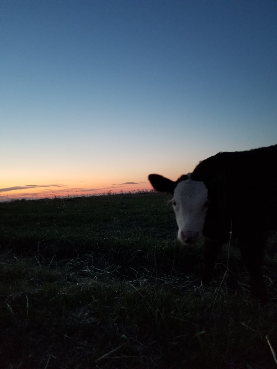 kurteeallen's tweet photo. Nothing like a Nebraska sunset https://t.co/pQJ12ZYCcc
