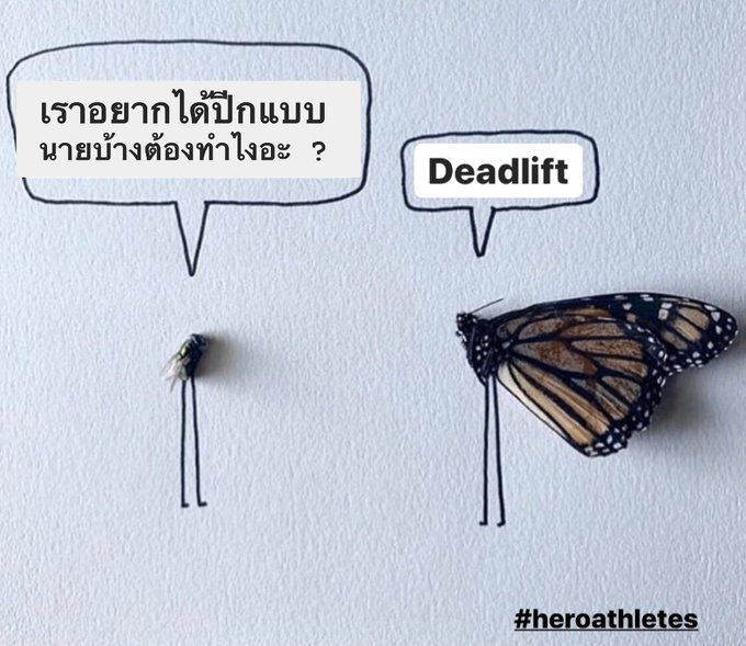 ... Deadlift ... จำไว้ ... Deadlift  #heroathletes #deadlift https://t.co/q1rPtce7A5<a href="/tag/heroathletes"class="tags">#heroathletes</a><a href="/tag/deadlift"class="tags">#deadlift</a>