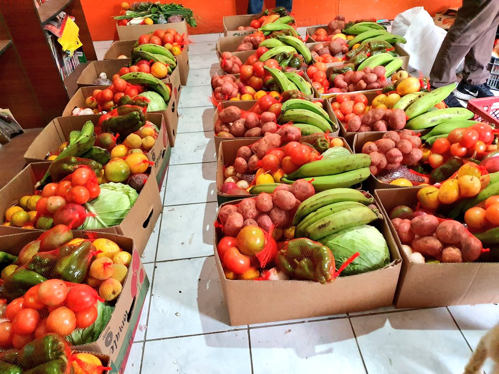 GoberCarchi's tweet photo. Con el emprendimiento #ASOPROVIDA del sector Estación Carchi varias familias de la provincia se benefician llevando canastas de hasta 26 productos a precios sin intermediarios, directamente del productor al consumidor. Se fortalecen los pequeños productores con esta estrategia. https://t.co/clDMaLAoK7
