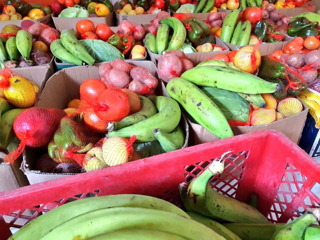 GoberCarchi's tweet photo. Con el emprendimiento #ASOPROVIDA del sector Estación Carchi varias familias de la provincia se benefician llevando canastas de hasta 26 productos a precios sin intermediarios, directamente del productor al consumidor. Se fortalecen los pequeños productores con esta estrategia. https://t.co/clDMaLAoK7