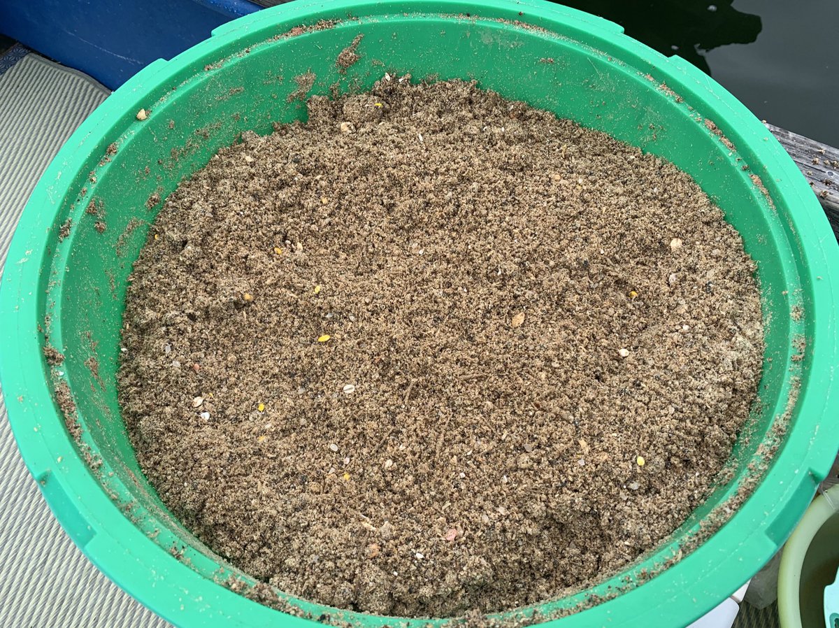 富士南麓人 キビレはクドアセプテンプンクタータなる寄生虫が浜名湖のキビレ で確認されているので刺身にはせずに 冷蔵庫と冷凍庫で寝かせて加熱用に 目視では寄生虫は確認できなかったけど用心で W 韓国産ヒラメでの食中毒が確かこの寄生虫だった 富士南麓人 キビレはクドアセプテンプンクタータなる寄生虫が浜名湖のキビレ で確認されているので刺身にはせずに 冷蔵庫と冷凍庫で寝かせて加熱用に 目視では寄生虫は確認できなかったけど用心で W 韓国産ヒラメでの食中毒が確かこの寄生虫だった