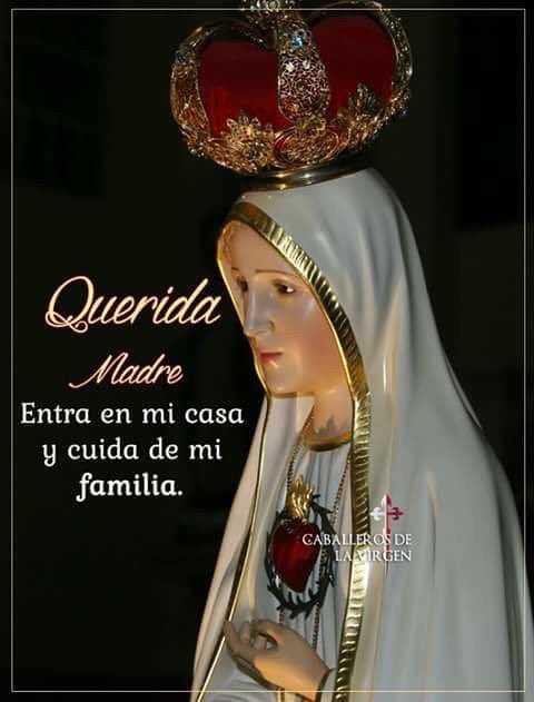 Martha Benitez tweet media