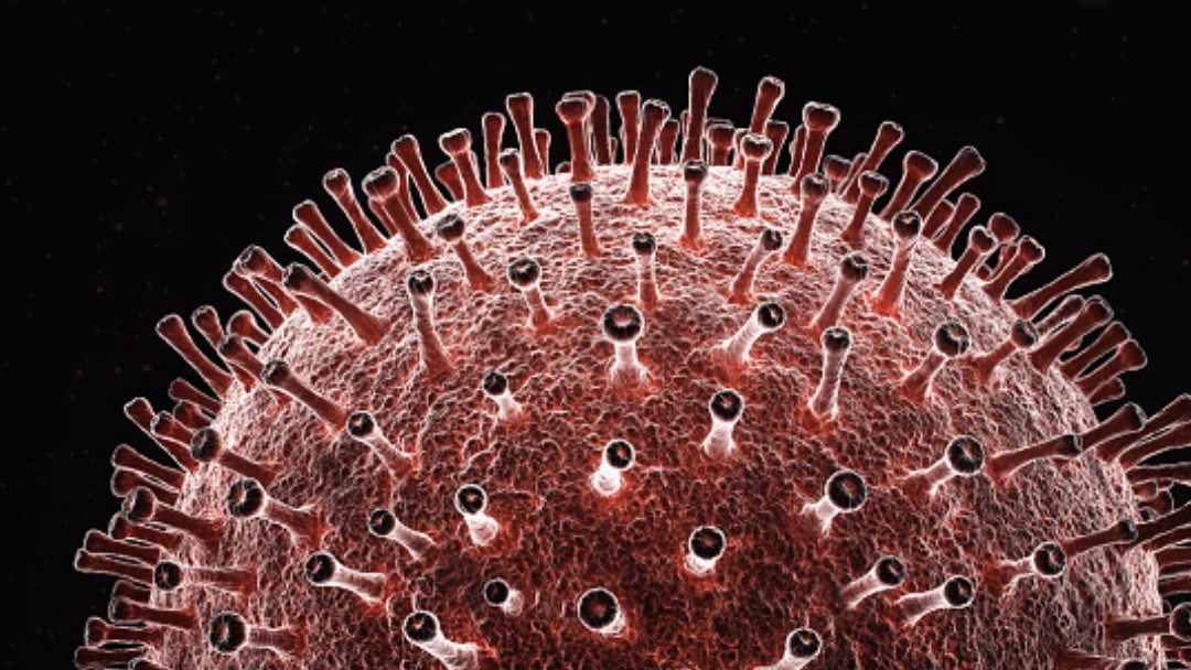 nmasforo's tweet photo. Nueva cepa de coronavirus es más contagiosa que la original, revela estudio reciente
https://t.co/LOF4T2zCIJ https://t.co/08ihO8BdHn
