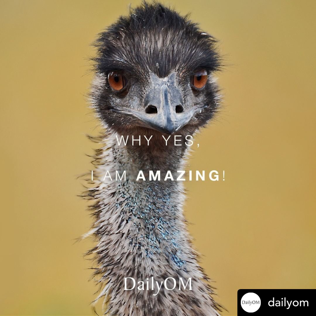 rewrite_the_day's tweet photo. What we tell ourselves matters

What are you telling yourself?
#selftalk #positivity #mentalhealth #selfworth #selfesteem #GoodVibes https://t.co/8fvuxUtcKI