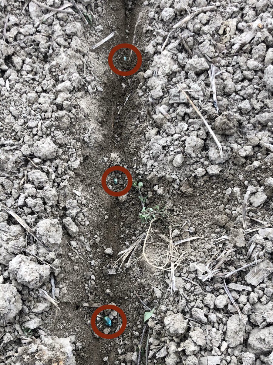 FinneyCCA's tweet photo. First day of corn planting today. I’ll take that spacing! #plant20 #Dekalb #SunriseCoop https://t.co/4vmpR2CAzO
