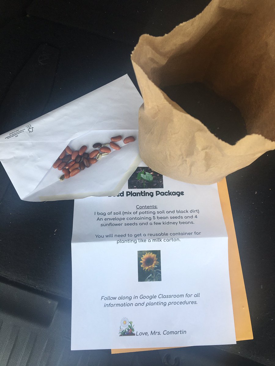 JackieComartin's tweet image. Seed Planting Packages were delivered today. The sun was shining, my students were happy and full of smiles and I got away from a computer screen! @St_JohnXXIII #gr4science #ablearningathome