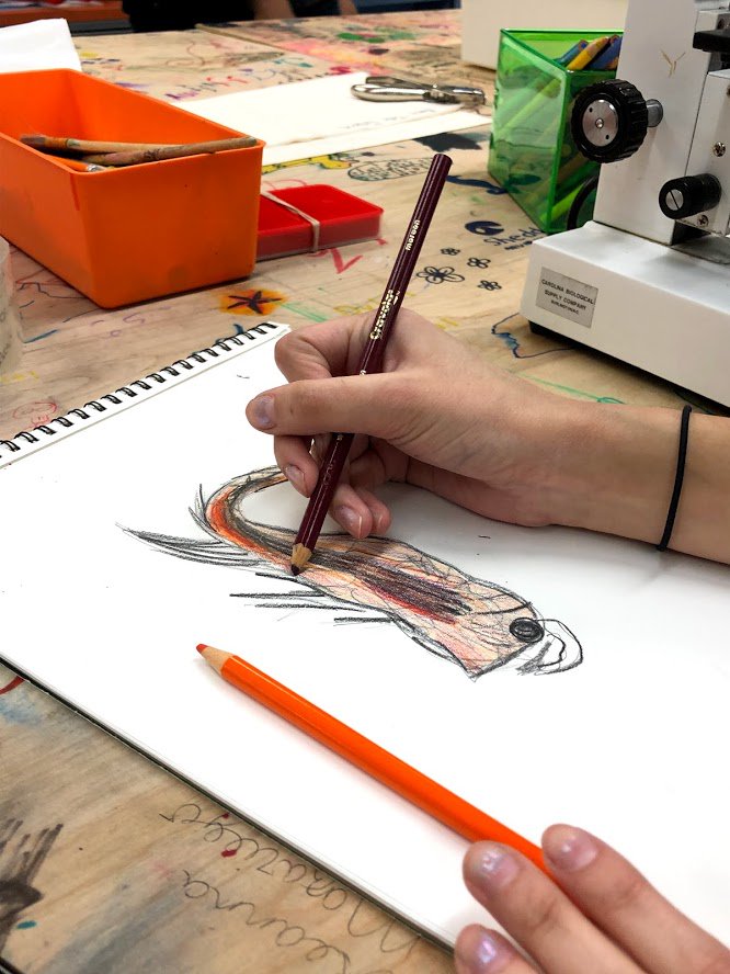 SheddLearning's tweet photo. Join us for a series of #SheddTeenLab VIRTUAL workshops on the connections between art and science! #SciArt
May 7 Intro to Art...
May 14 The Science of Art
May 21 The Art of Science
May 28 Lab to Life: Art in Your World
High school teens register here: https://t.co/UlFUuYdBT4 https://t.co/41nB3n7WT6