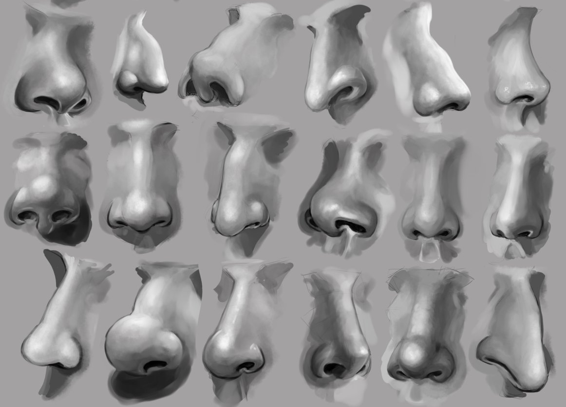 How to Draw a Nose  Anatomy and Structure  Stan Prokopenko