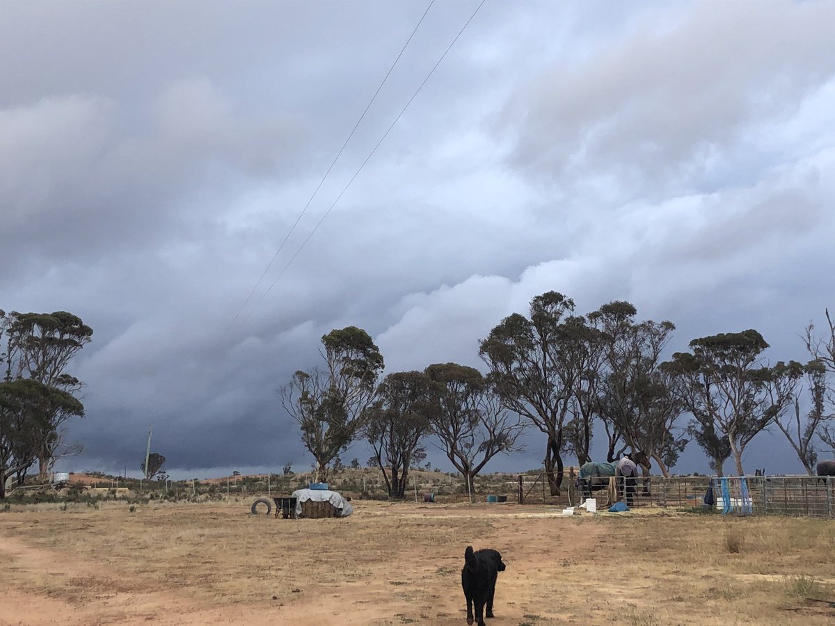 BonnyDunlopH's tweet photo. Just shy of 3mm at home in #cowcowing yesterday grey skies and icy winds since then... hopefully theres more to come for  #seeding2020 https://t.co/SGWDjJ6ZTV
