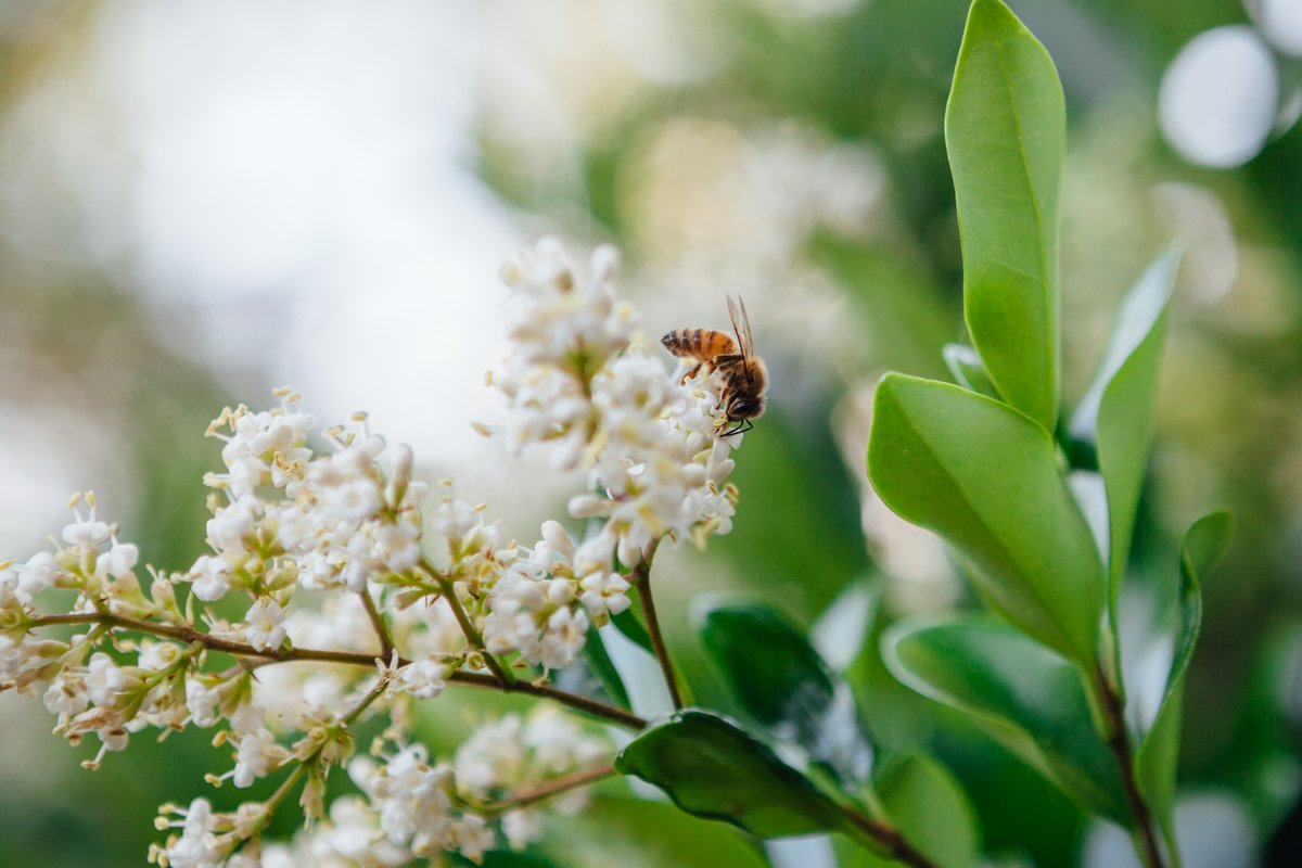 kolbyster tweet media