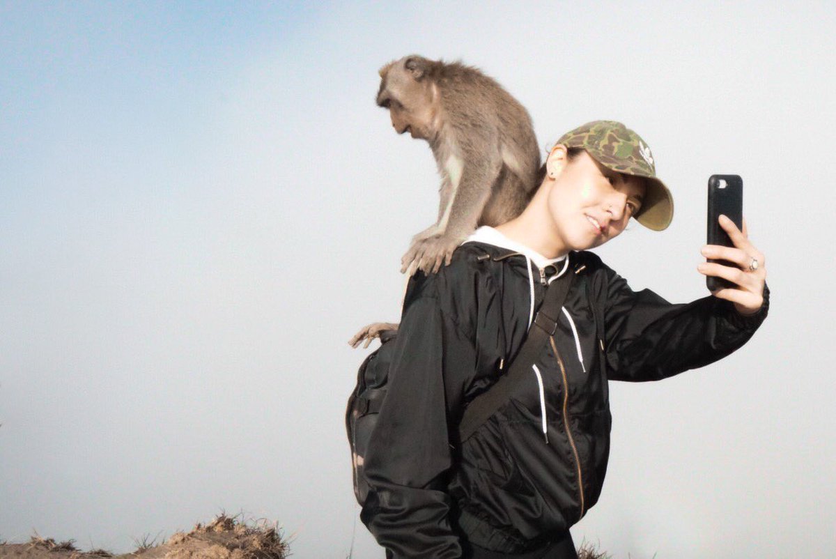 DJMikiTaka's tweet photo. Looking forward to monkeying around again 🐒 https://t.co/317jutYRxq