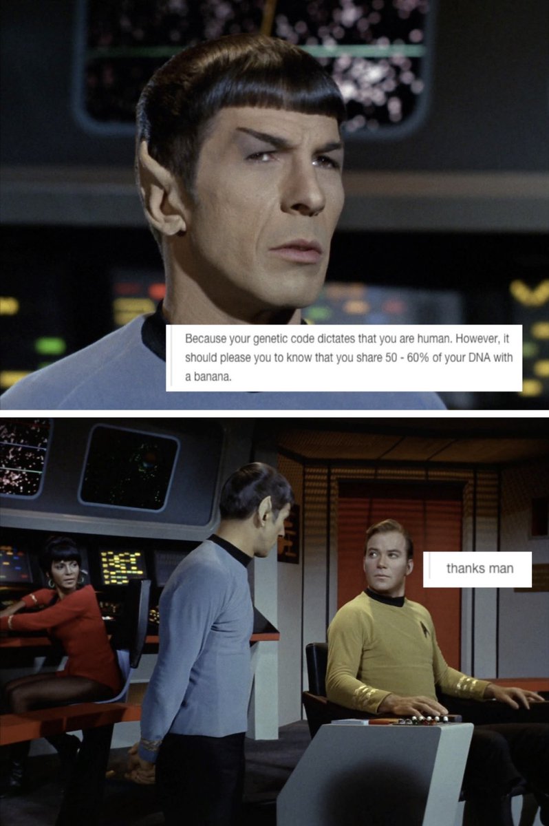 83. this week on star trek...