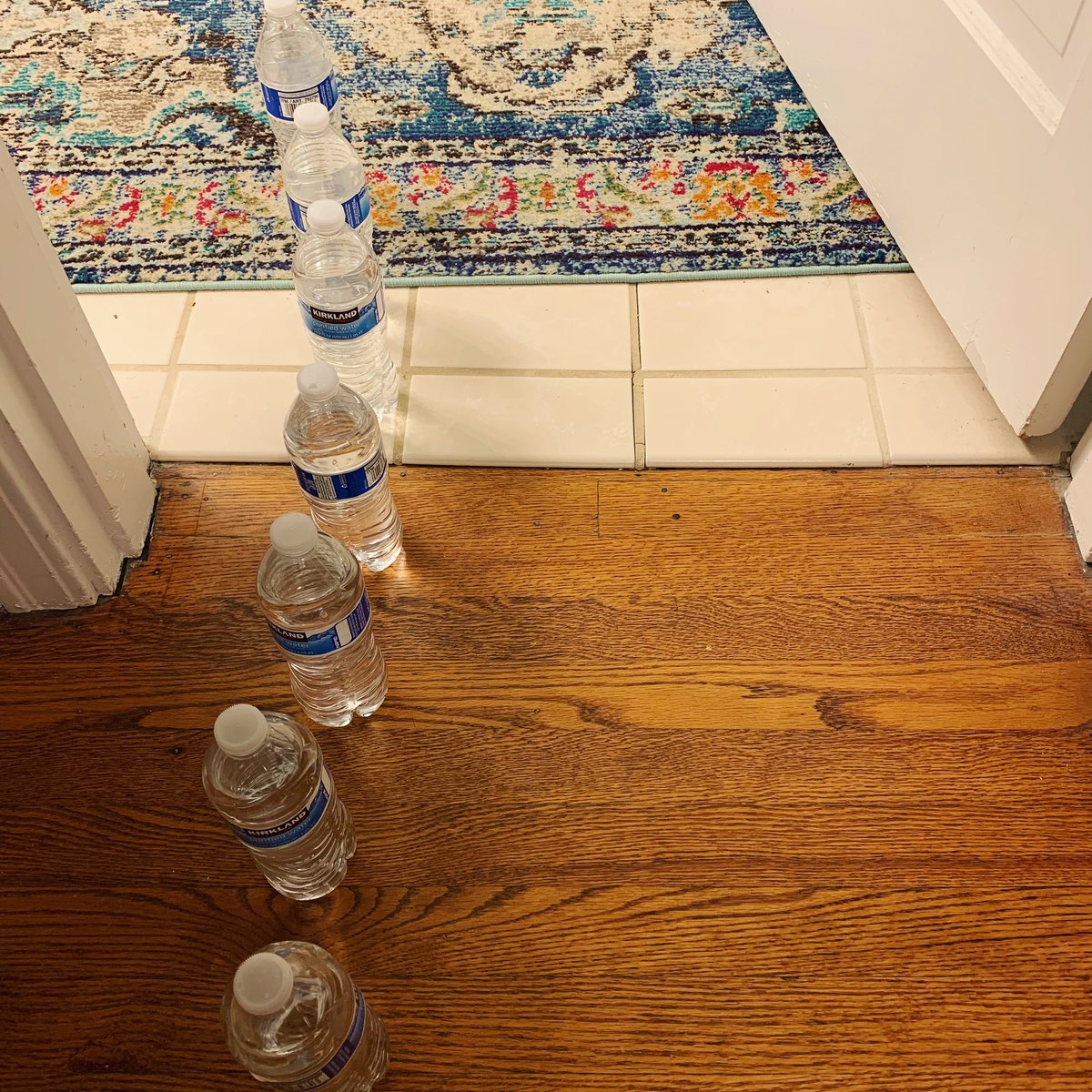 ChuckMingo's tweet photo. Imagine how fast I sprinted up the stairs when the kids shouted down: “Dad, hurry! There’s water coming out of the bathroom!” 😮 #theygotmegood #pranked #thejokesondad https://t.co/Iha6rT7a4l