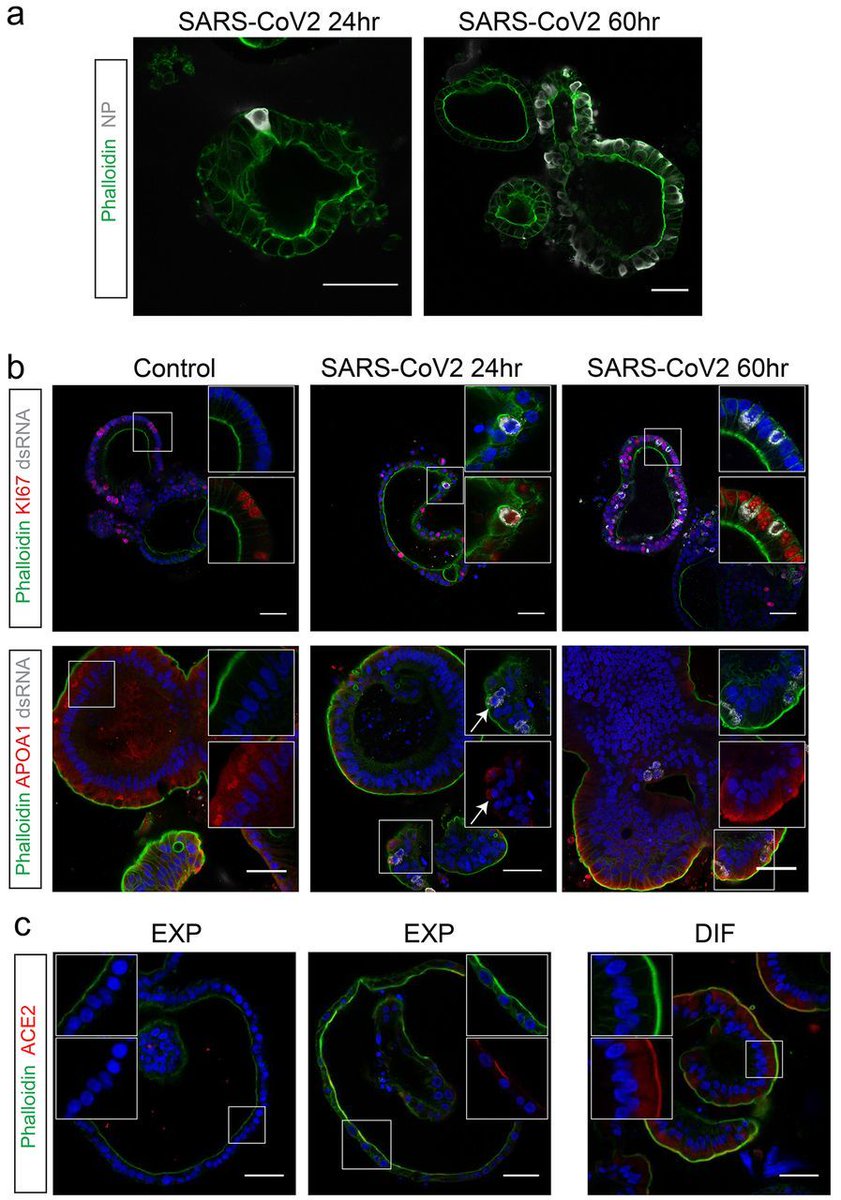 Science Magazine tweet media