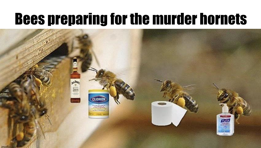 LasVegasLocally's tweet image. 