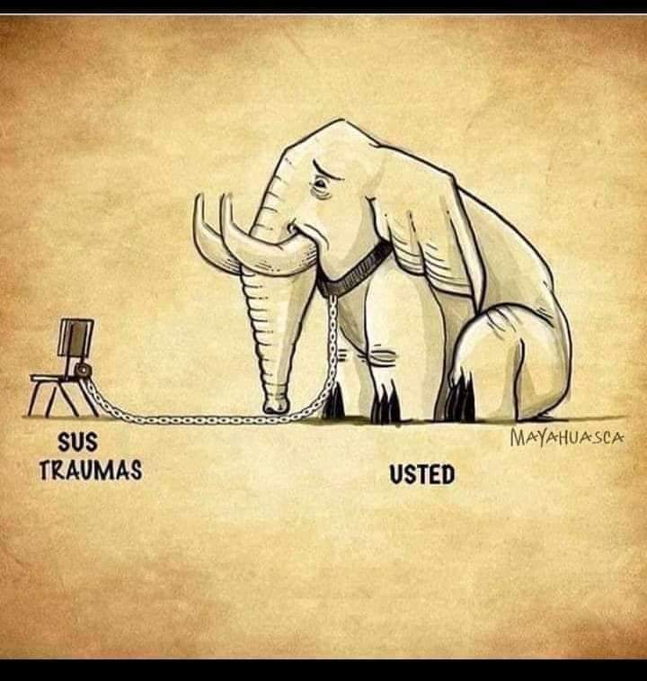 ColmenaJess's tweet photo. https://t.co/oKmukWtwiO