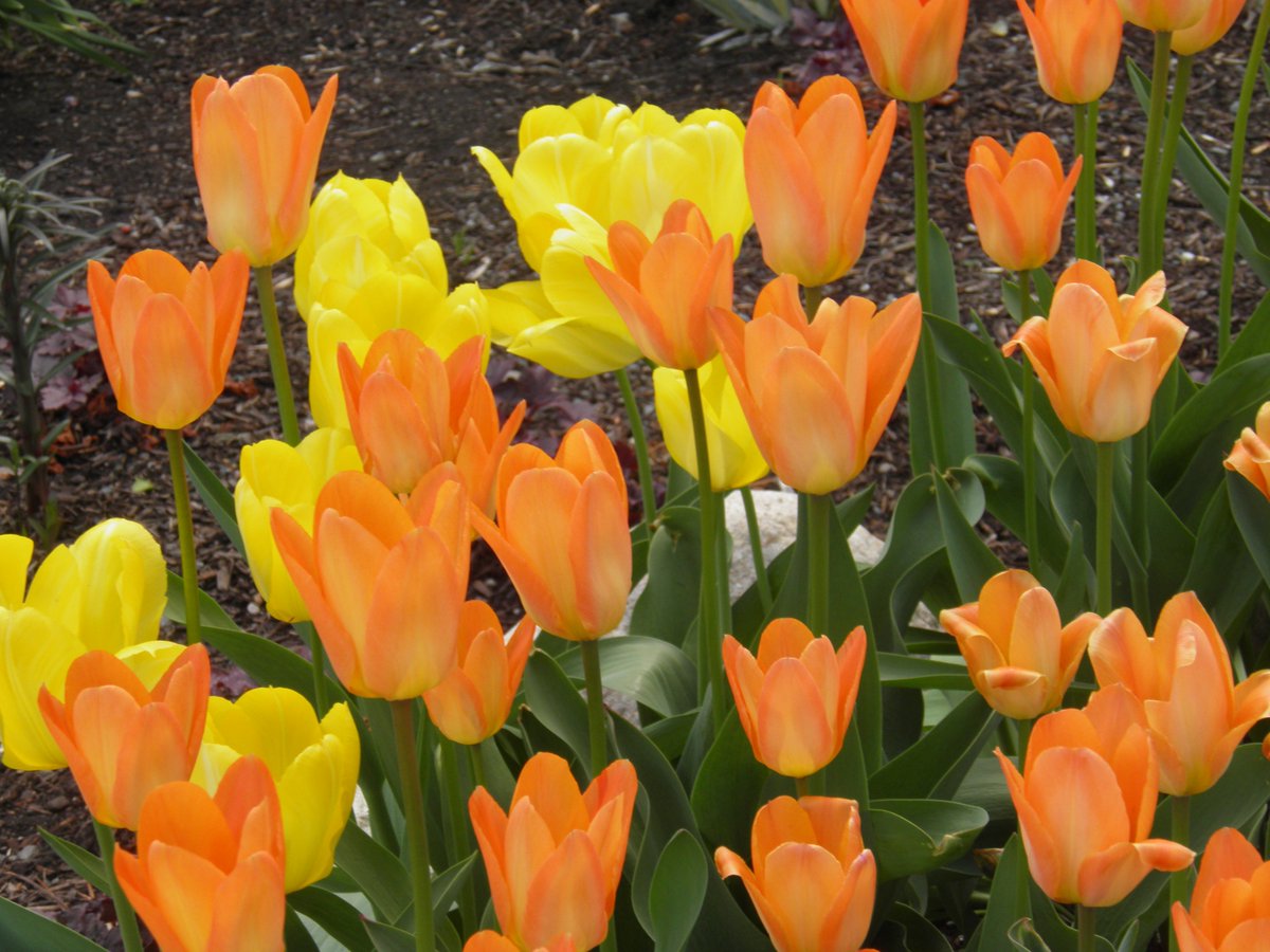 helga3's tweet image. #senseless_beauty