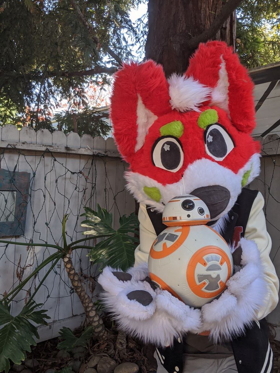 CreativeCriters's tweet photo. Since yesterday was May the 4th, does that make today revenge of the 5th? 
#furry #furries #fursuit #fursuiter #furryfandom #StarWarsDay #MayThe4th https://t.co/yU3gnUTGga