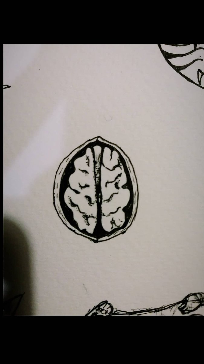 AzulCerezo's tweet photo. Nuez, cerebro o cerebro de nuez? https://t.co/XaHu2bIGZD
