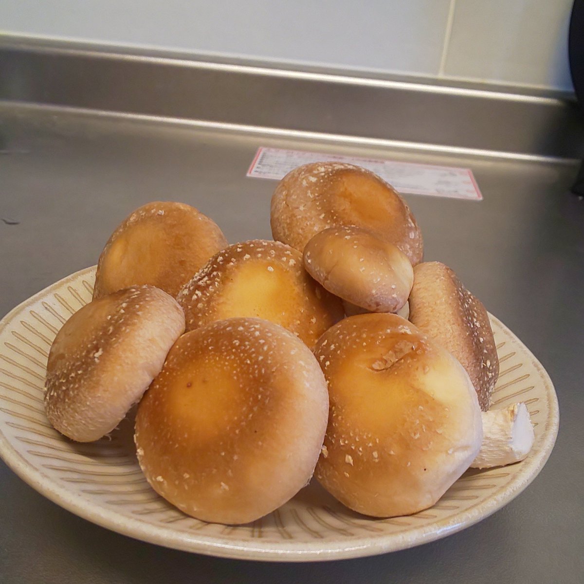 GWの暇つぶし
しいたけ栽培始めました～！
今日で５日目
半日ほど目を離すと驚く成長ぶり🙄
何個収穫出来るのだろう🍄🍄🍄