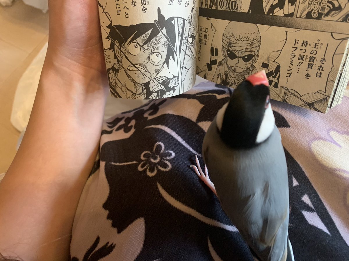 ママと一緒に読書〜🥰🏡#お家時間を楽しもう
