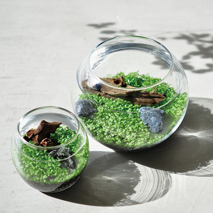 LOVEGREEN_media's tweet photo. 種から育てる水草 。発芽も比較的早く、お子様と一緒に楽しむこともできます!
#LOVEGREEN #LOVEGREENSTORE #Botapii
https://t.co/nsTMOXhq3e https://t.co/Q0c4P7WnpV