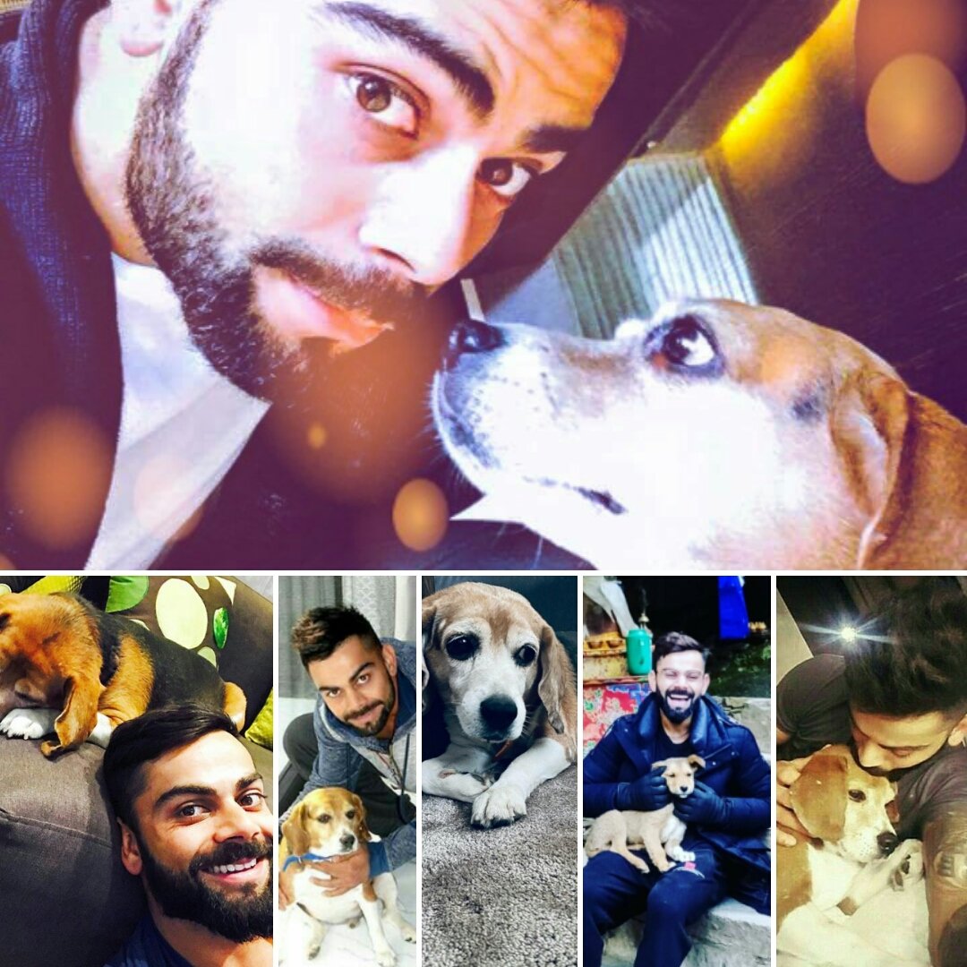 virat kohli bruno pictures