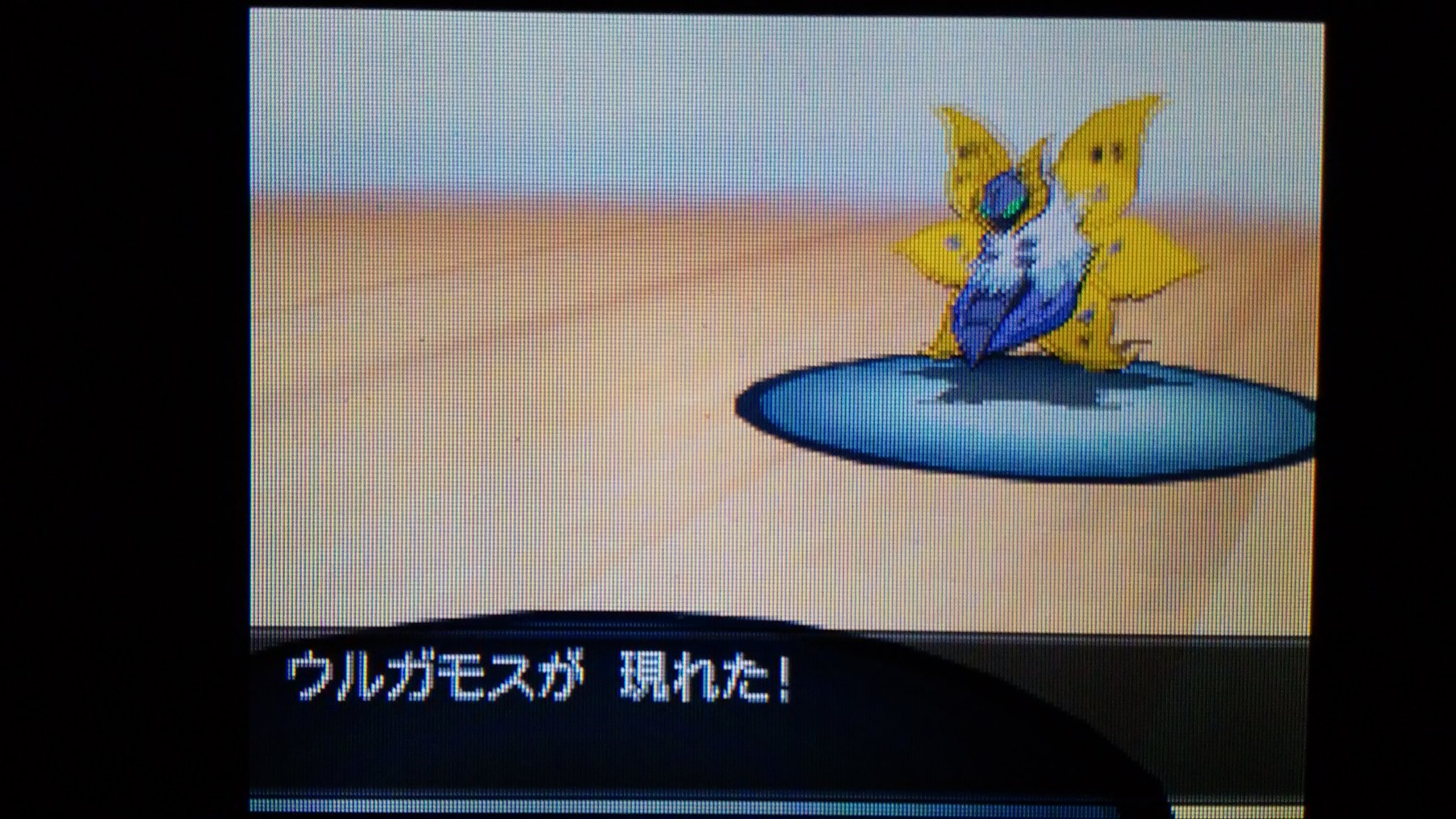 でこぽん ホドモエシティでヤーコンロードが開通したみたいなので行こうと思ったけど その前にpwtから古代の城 へ行き ずっと放置していたウルガモスをめざ氷で捕獲 これ初見だと絶対伝説だと思うよね 最初は伝説としてデザインされてたみたいだし でこぽん ホドモエシティでヤーコンロードが開通したみたいなので行こうと思ったけど その前にpwtから古代の城 へ行き ずっと放置していたウルガモスをめざ氷で捕獲 これ初見だと絶対伝説だと思うよね 最初は伝説としてデザインされてたみたいだし