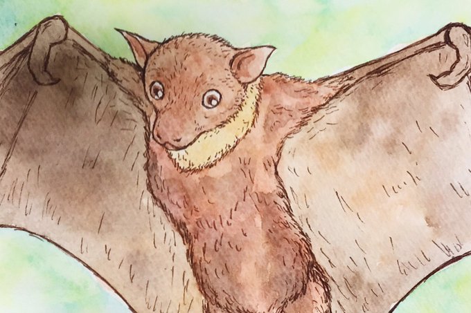 Flying 高画質 のtwitterイラスト検索結果 古い順
