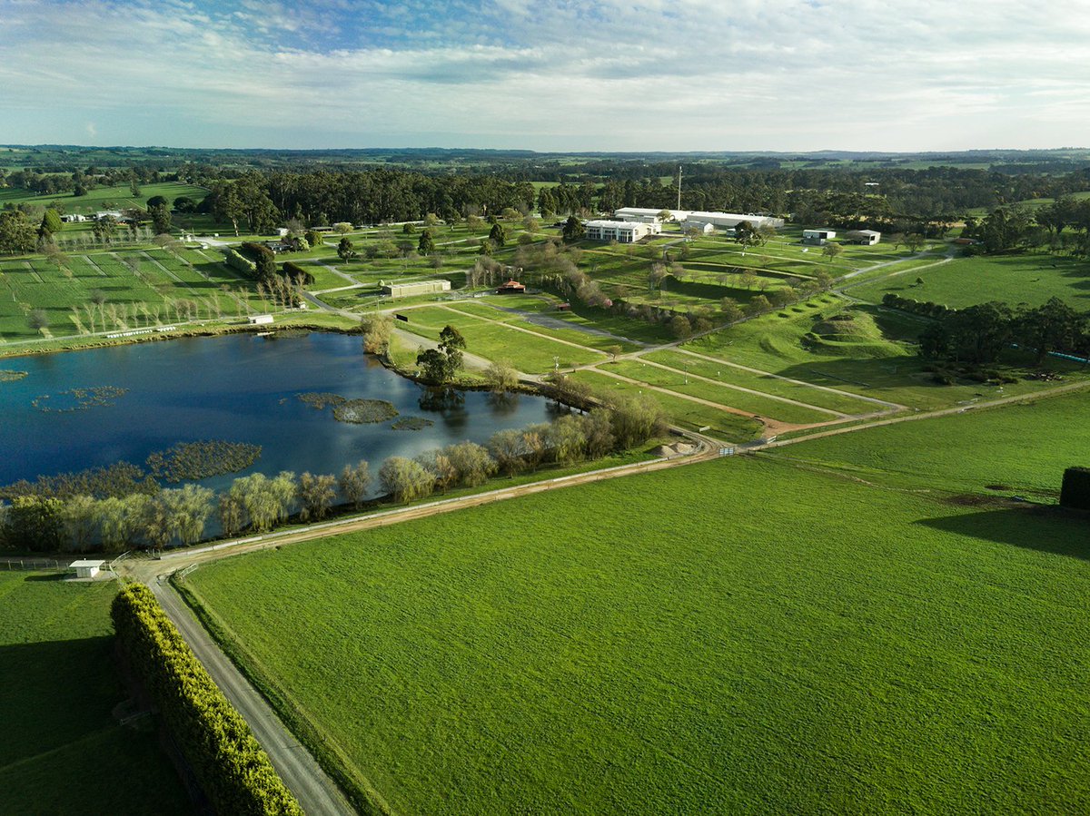 TAFE Gippsland and Lardner Park have joined forces to establish a strategic partnership in 2020.

Read more here: bit.ly/3ca566C