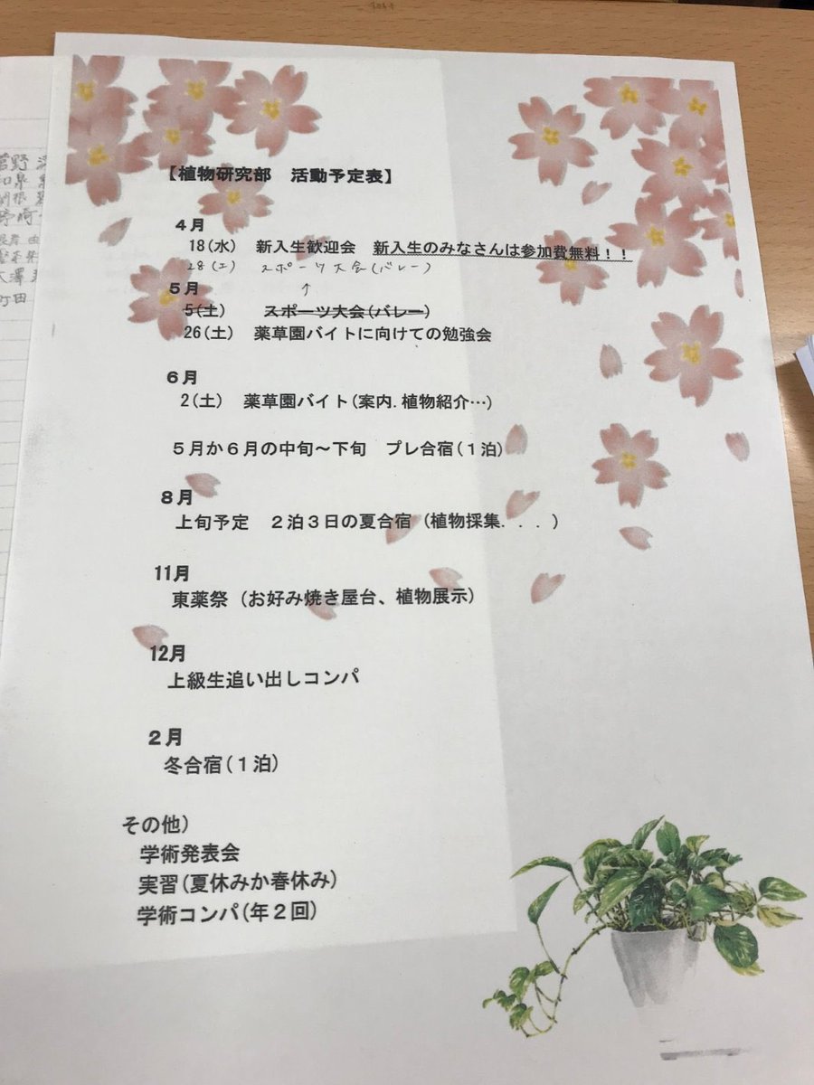 75 トプ 画 バレー かっこいい 画像 ただ壁紙hd