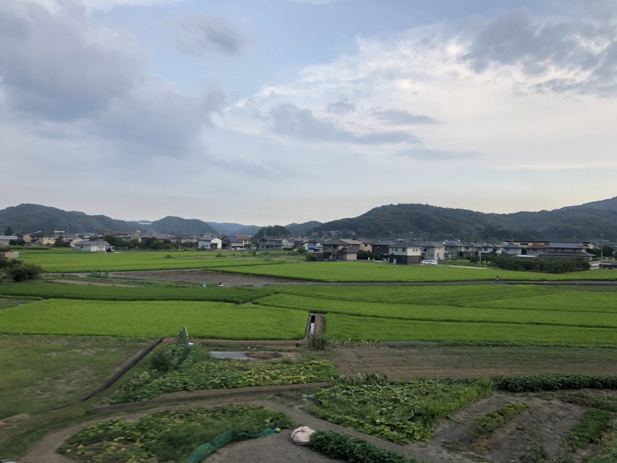 willbe00's tweet photo. https://t.co/3w5mHhiehK