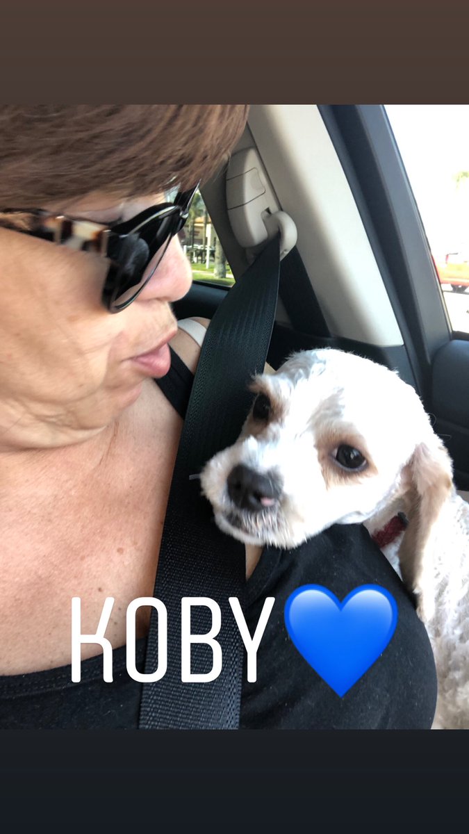 Sailormomm86's tweet photo. When you are quarantined... they love having you home! https://t.co/iGFBJTWXJs