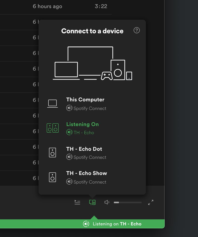echo show spotify