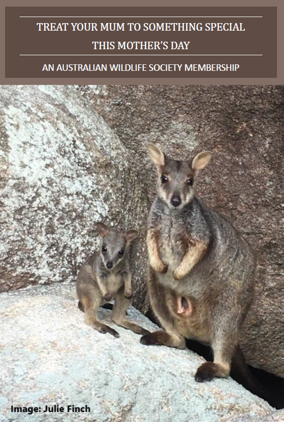 AustralianWild2's tweet photo. Treat your mum to something special this Mother's Day, an AWS membership!
https://t.co/DiO2PoskdR
https://t.co/E5HSkabU8H https://t.co/B1B48BJPU4